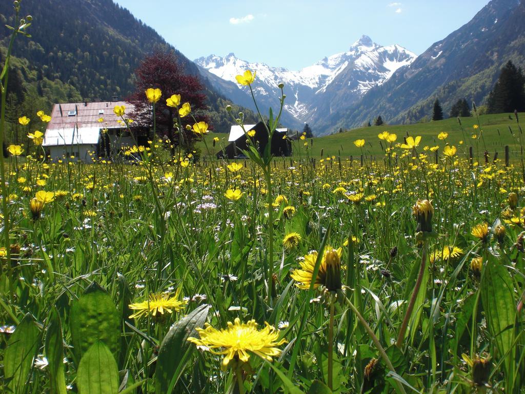 Apartamento Haus Stein Oberstdorf Exterior foto